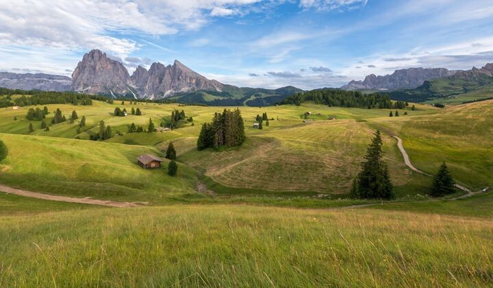 Alpine pasture at Alpe di Siusi - Dolomites - Italy