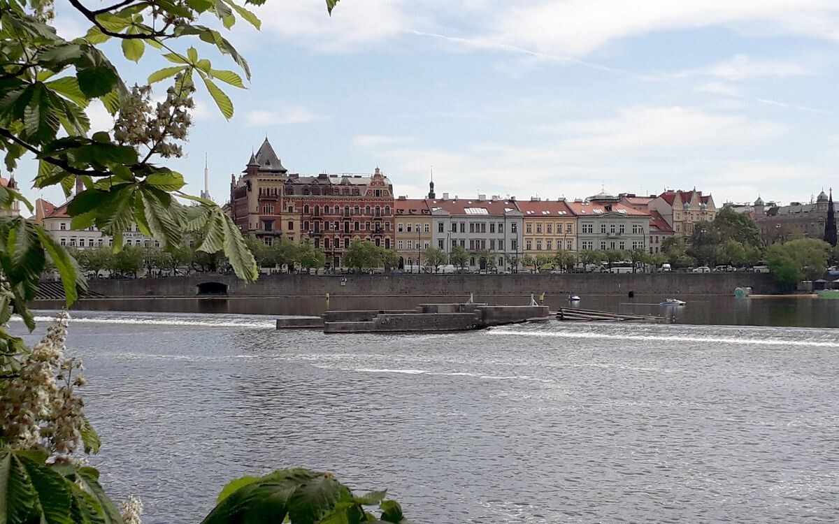 By the Vltava River