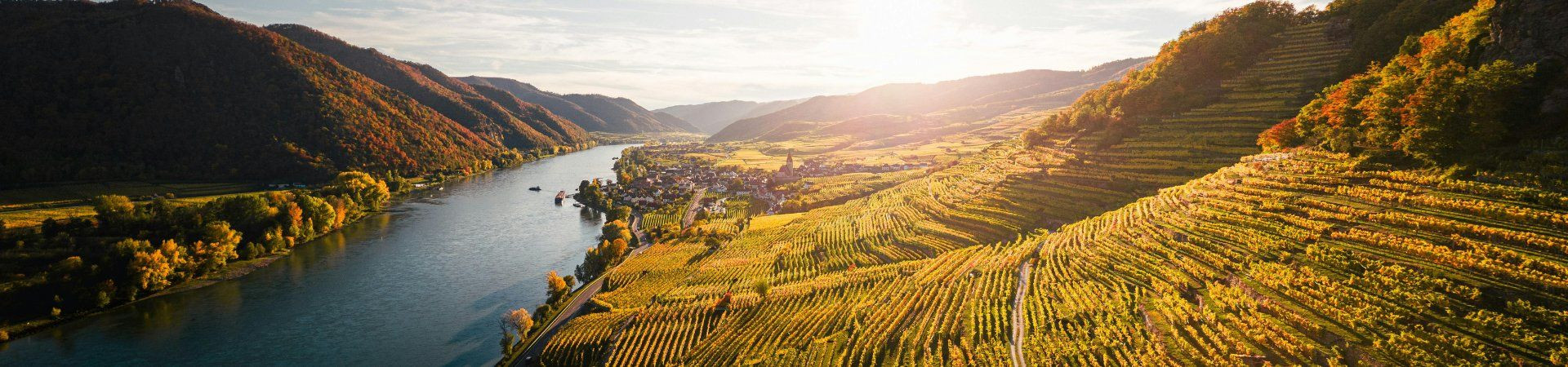 Wachau vineyards along the Danube - Austria