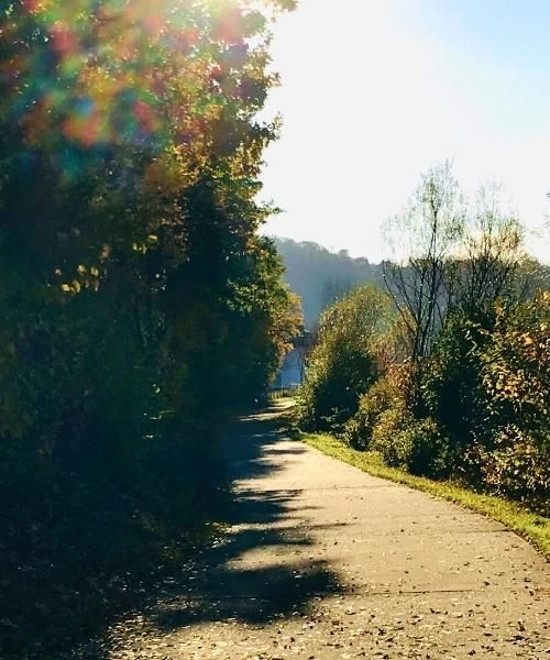 Waterside path in autumn - Sarrebourg - France