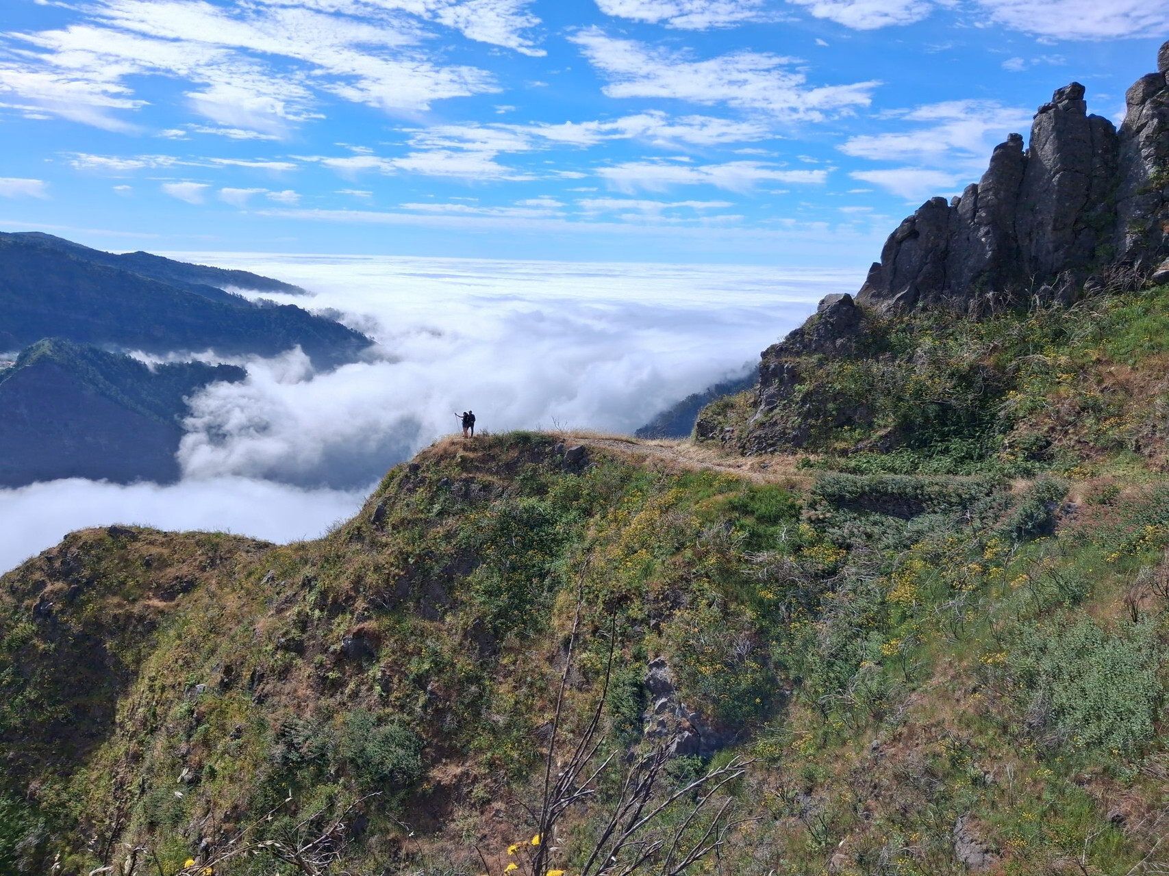 François — Madeira: Hiking in an Extraordinary Garden