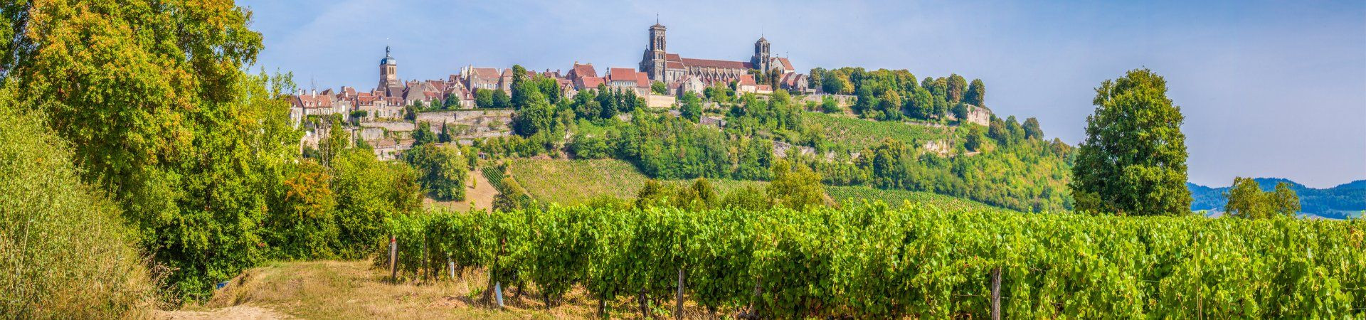 Organized Tour in Burgundy - France