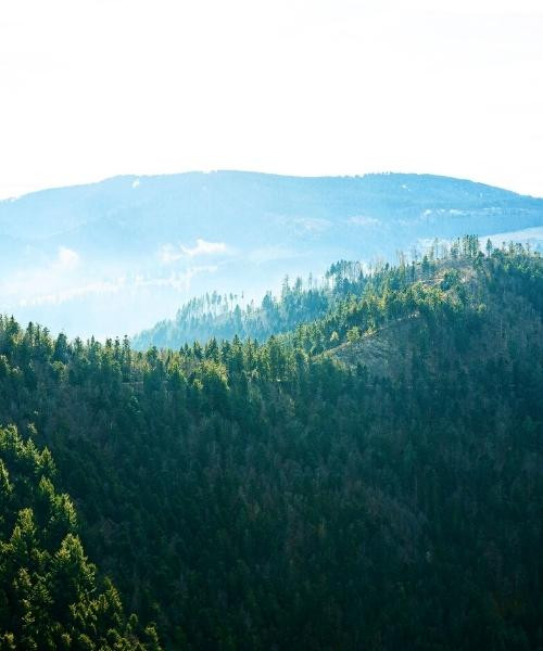 © Unsplash Belchen