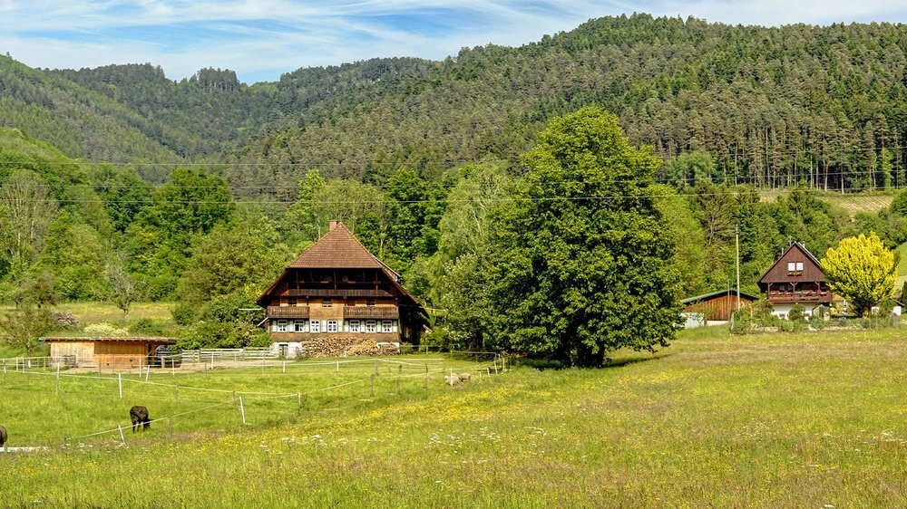 Traditional Black Forest farmhouse in a green valley - Germany
