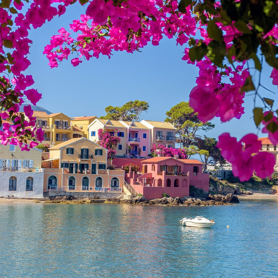 Bougainvillea in Assos © valantis minogiannis - Adobe Stock