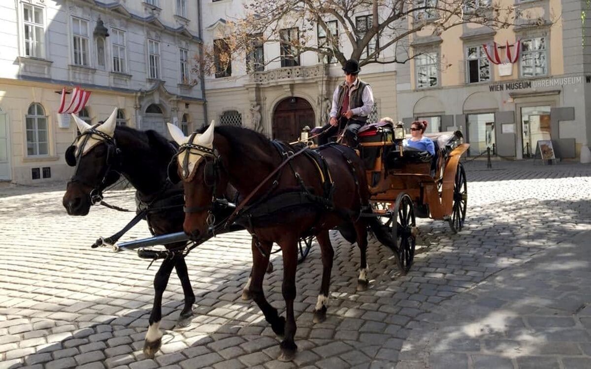 Carriage on the Hofburg