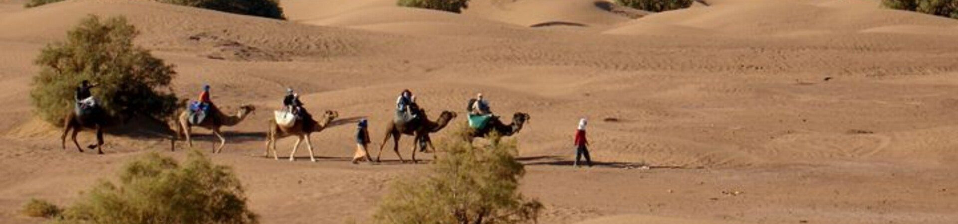 Desert trips, walks, treks and excursions in 2026