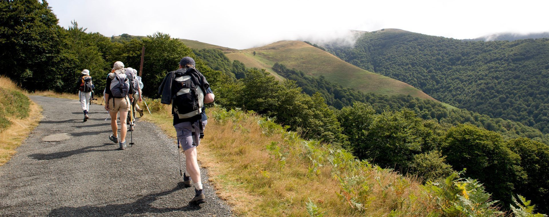 Hikers climbing into the Basque Pyrenees - Camino de Santiago - France