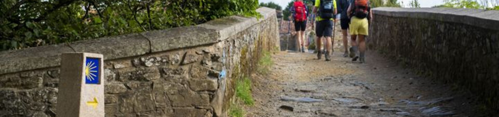 Way of St James to Santiago de Compostela - Spain