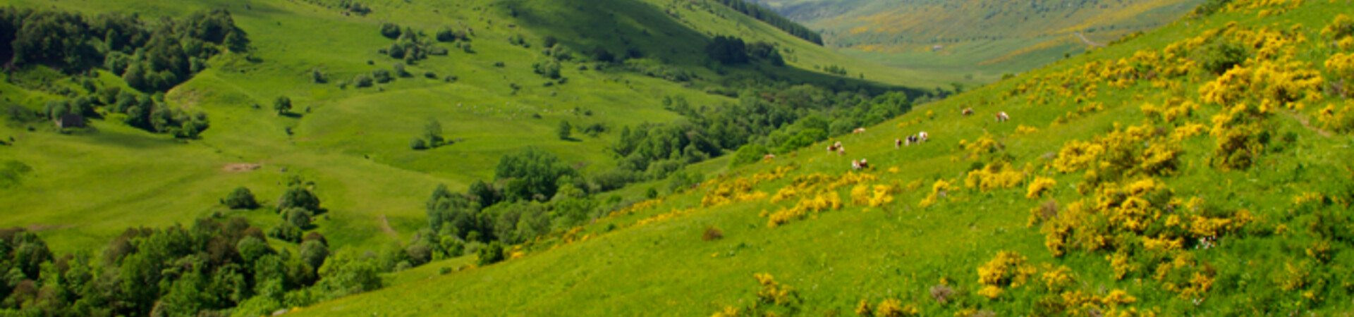 Treks and Multi-Day Walking Holidays in the Cantal in 2026