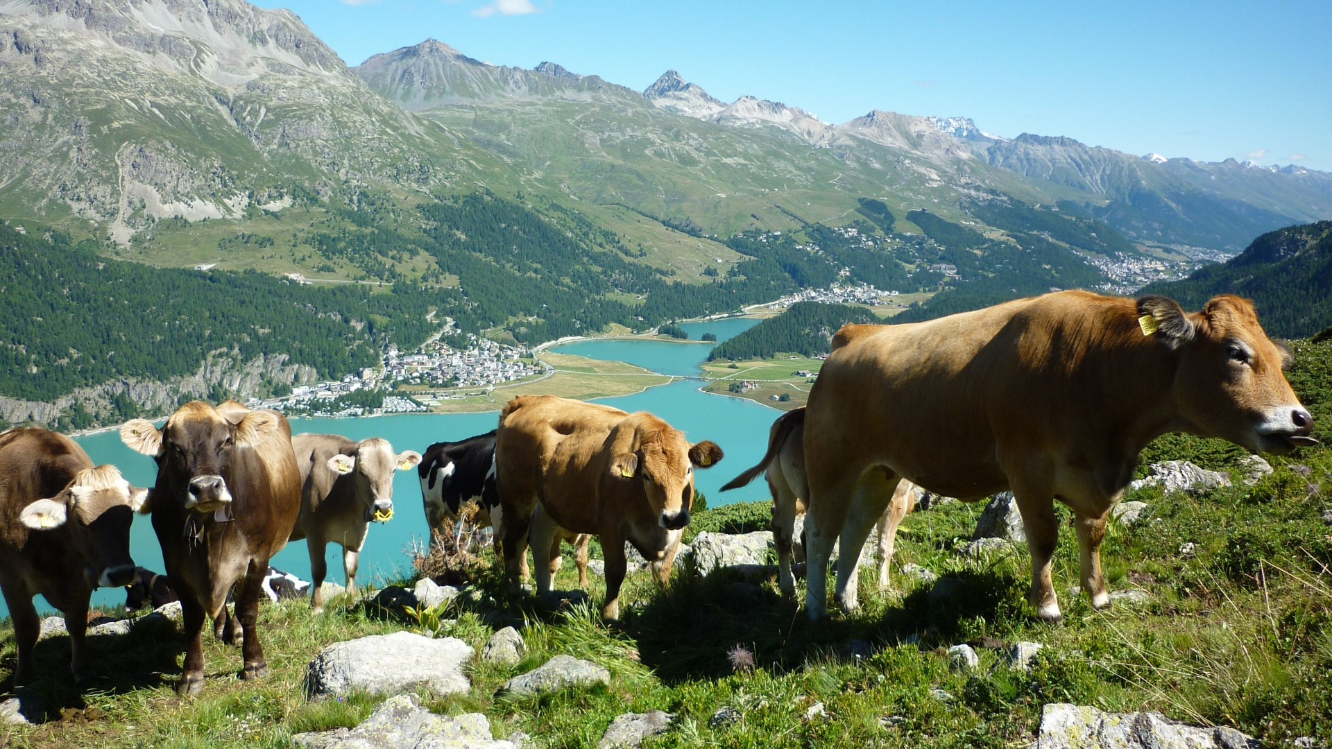chelp1002-haute-route-west-arolla-to-zermatt