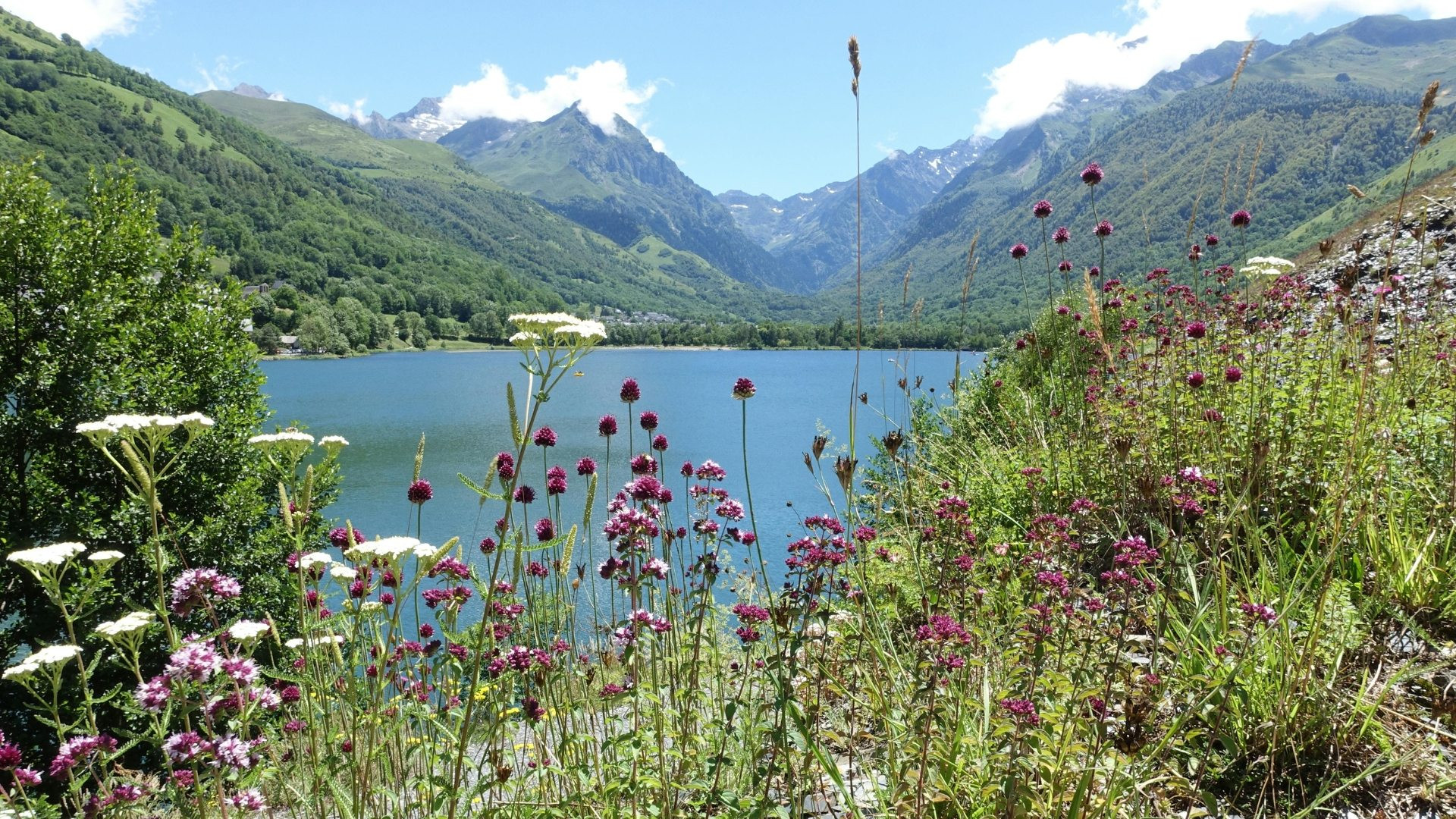 chelp1002-lac-de-moiry
