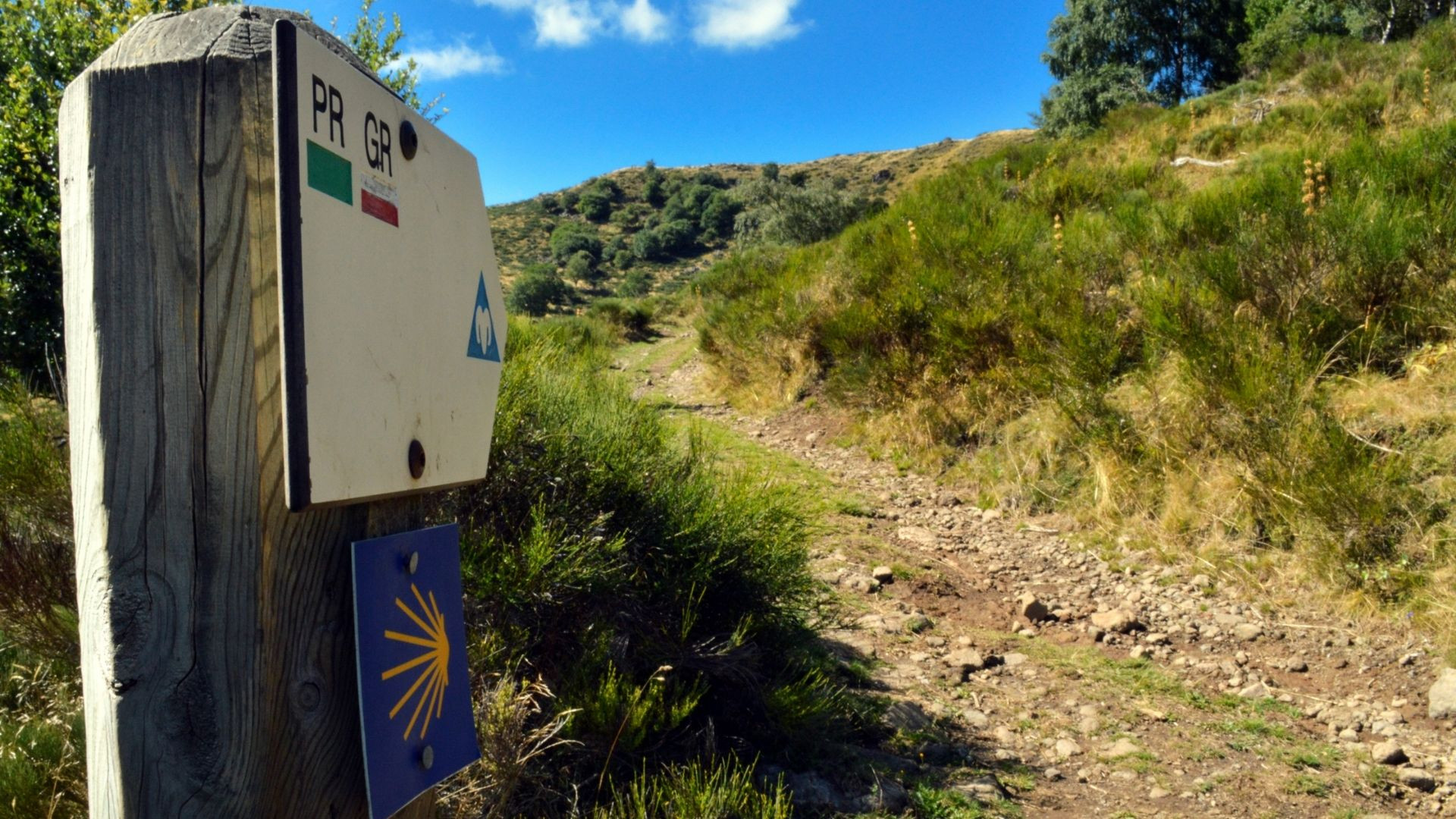 Camino de Santiago route through nature and heritage