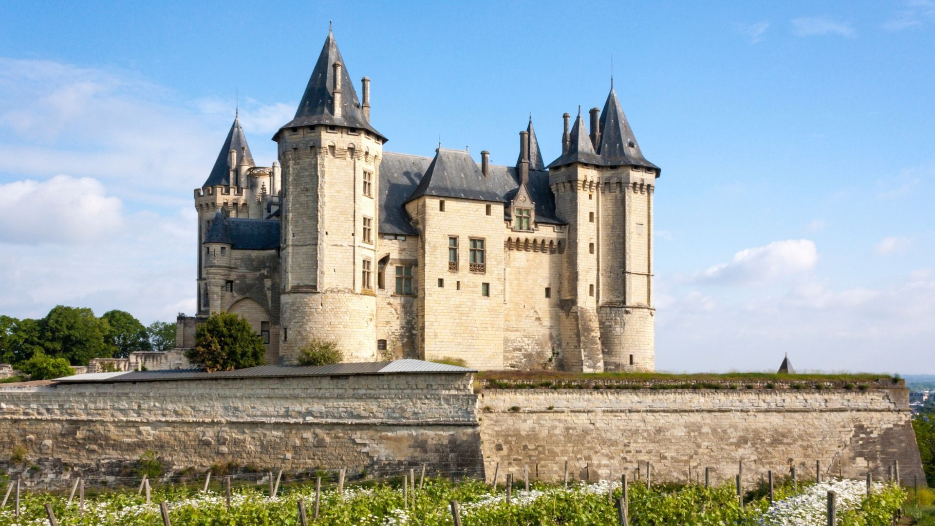 Façade du Château de Chenonceau - Val de Loire - France