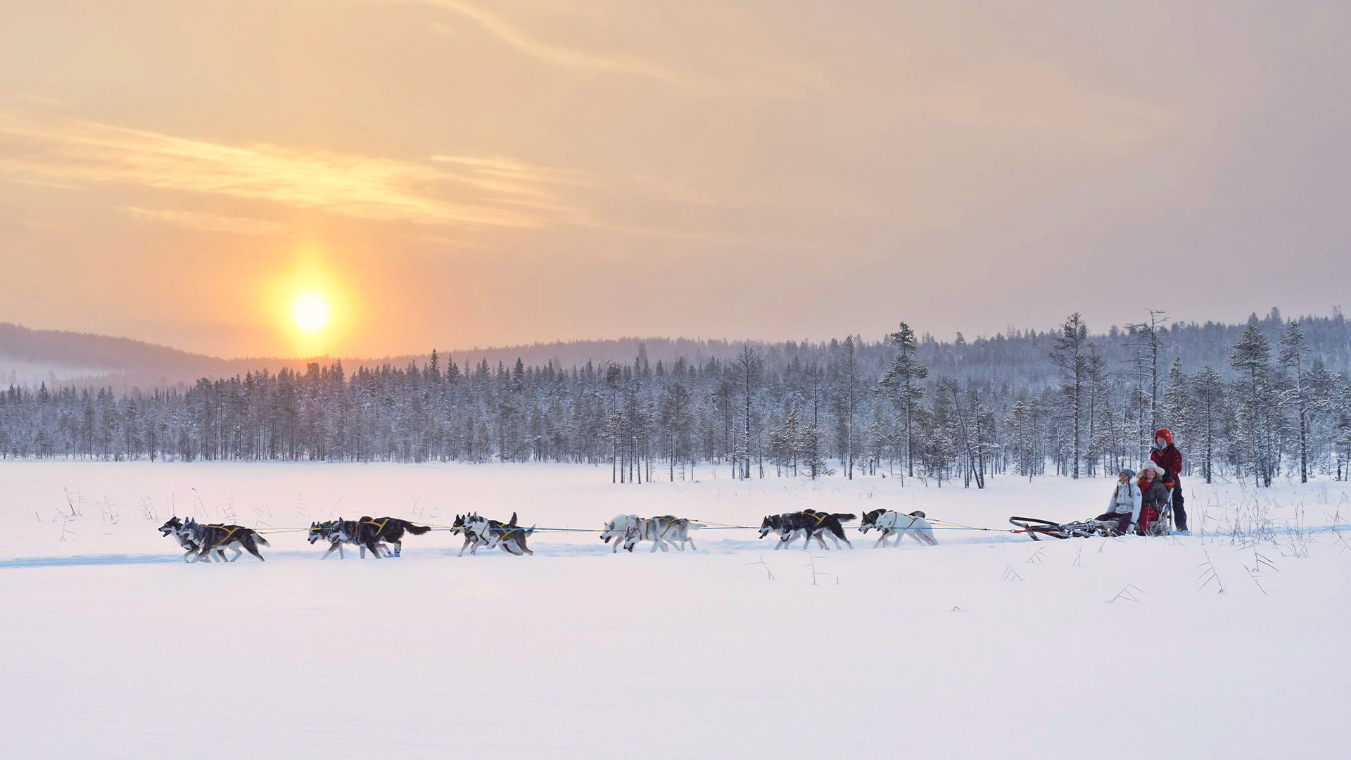Trips to the Far North