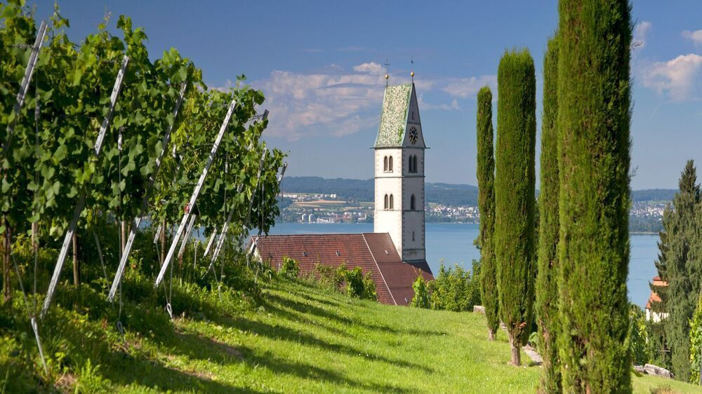Church and vineyards of Meersburg - Lake Constance - Germany