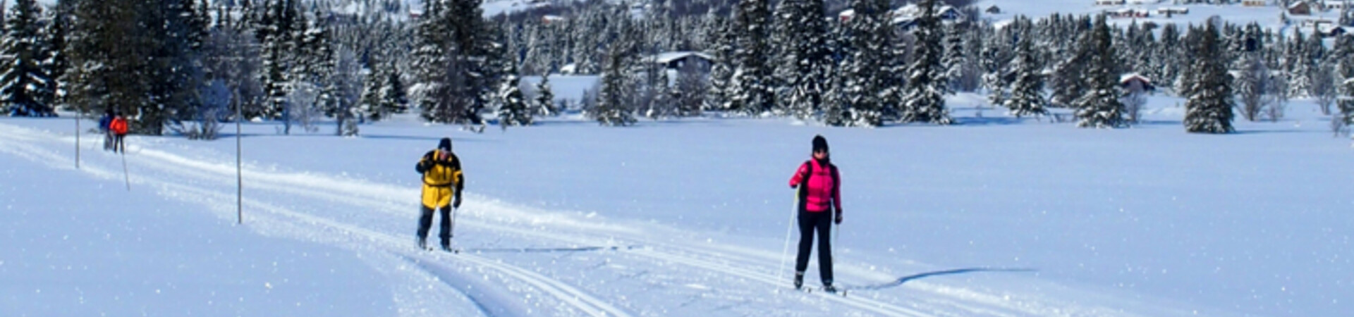 Cross-country skiing holidays in Norway - 2027