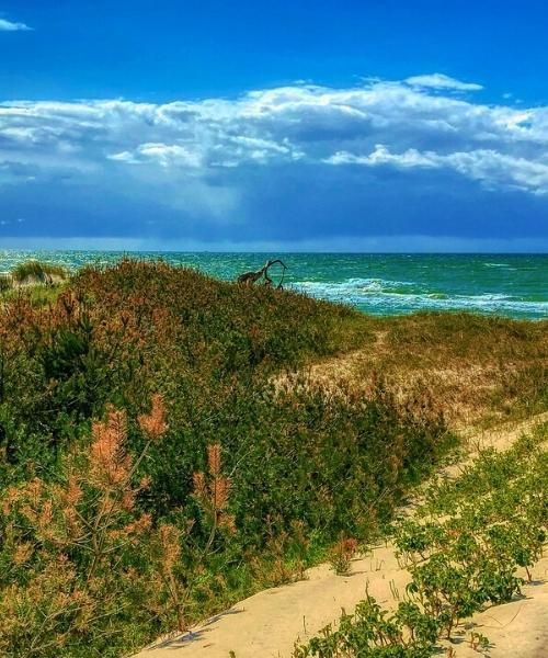 Coastal dunes of Prerow - Baltic Sea - Germany