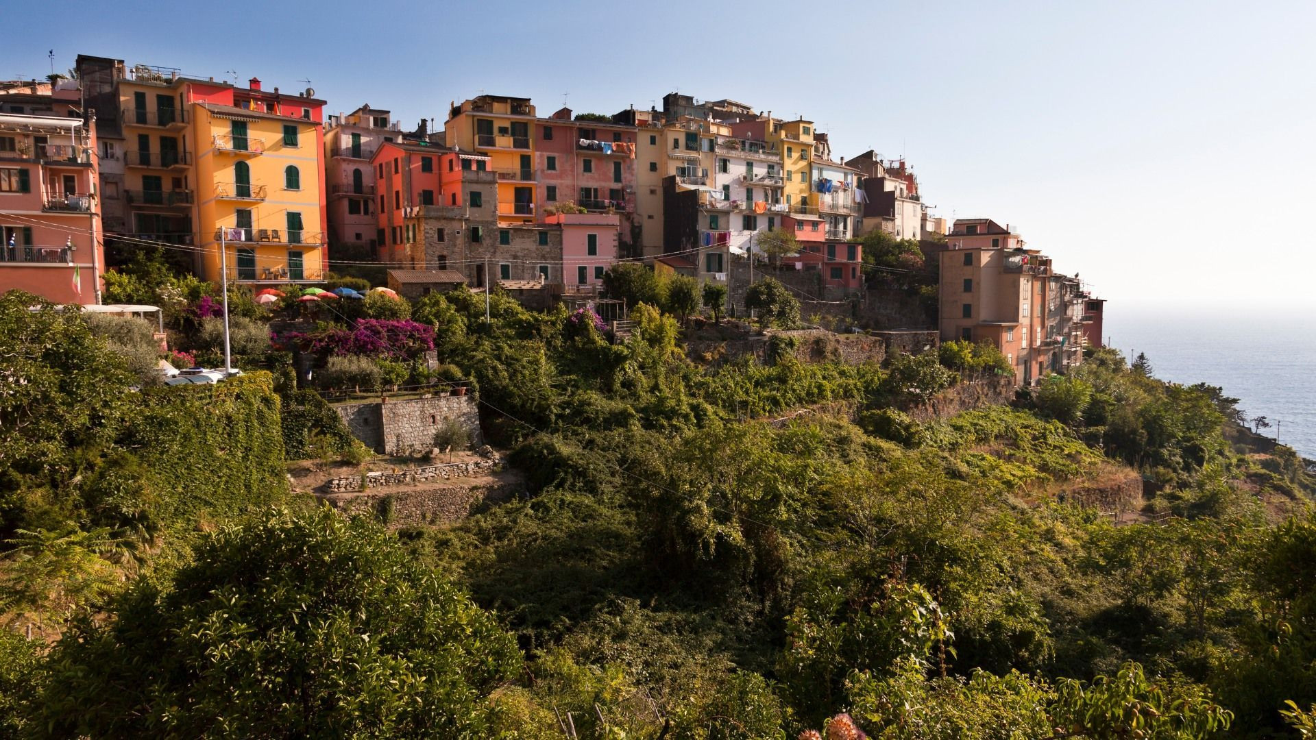Maisons colorées de Corniglia - Cinque Terre - Italie