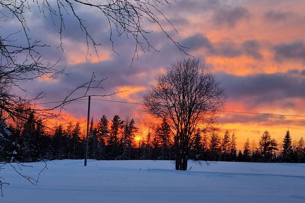 Sunset behind the forest