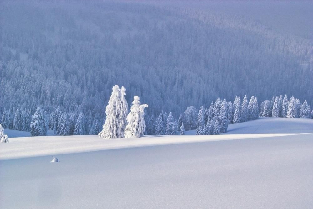 Schauinsland ridges © Raymond Chabanier