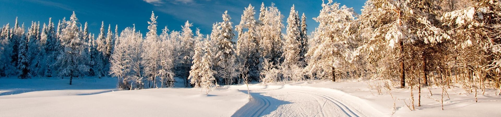 Cross-country ski trail through a snowy forest - Scandinavia