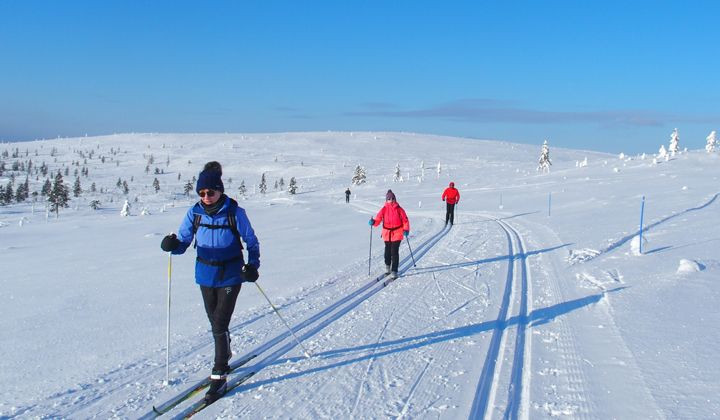 Cross-country skiing on the snowy plateau - Kiilopää - Lapland, Finland