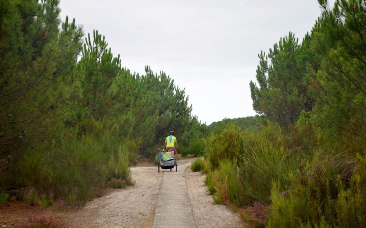 Cycle path between Maubuisson and Lacanau