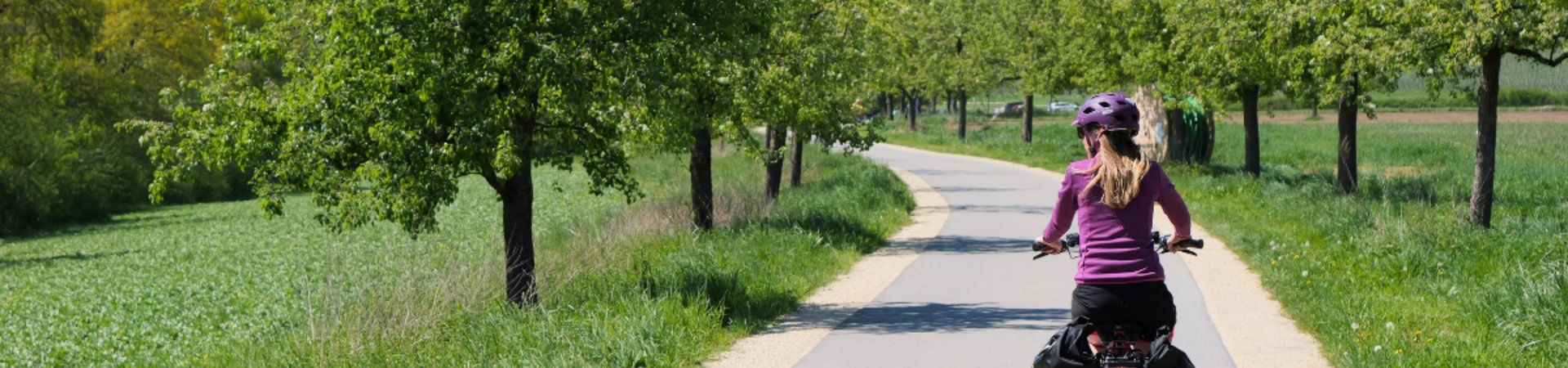 Cyclist with panniers on a tree-lined bike path - Countryside