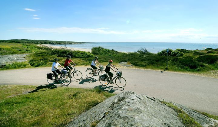 Cyclists along the Swedish coast between Ugglarp and Falkenberg