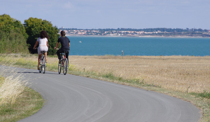 Cyclists on the Île de Ré - Charente-Maritime - France