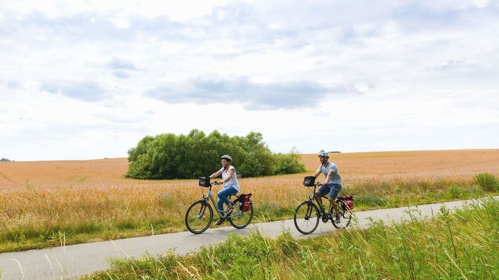 Cyclists on bike path through fields - Mecklenburg - Germany