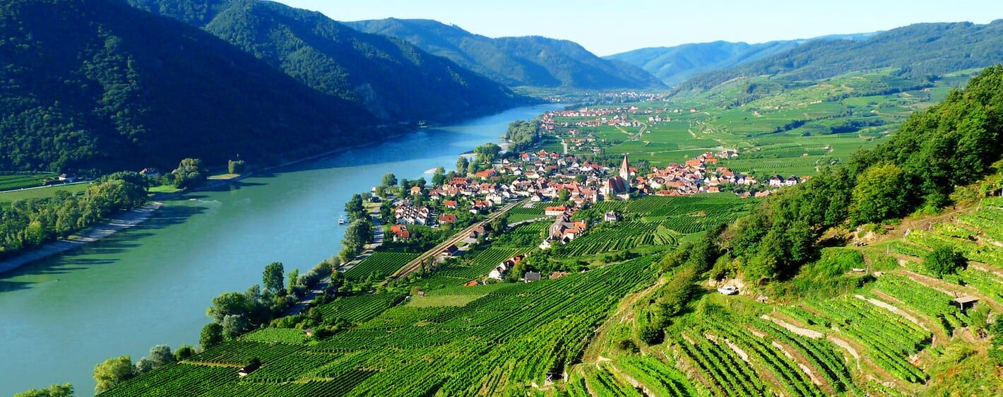 The Danube and terraced vineyards of the Wachau Valley - Austria