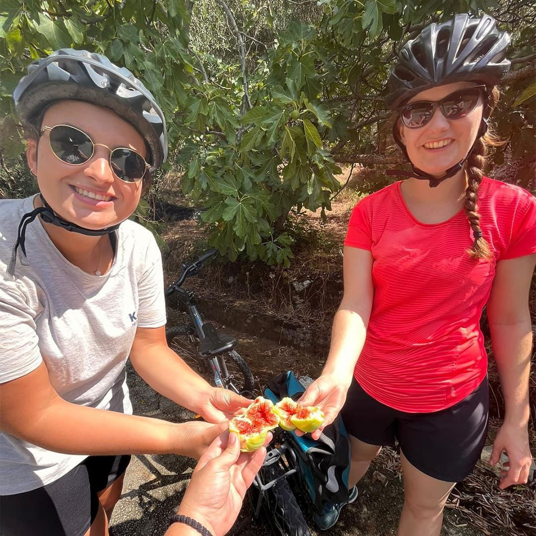 Tasting figs