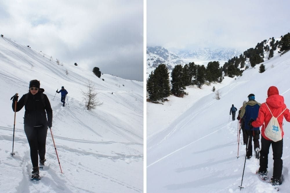 Descent into the Aletsch Forest