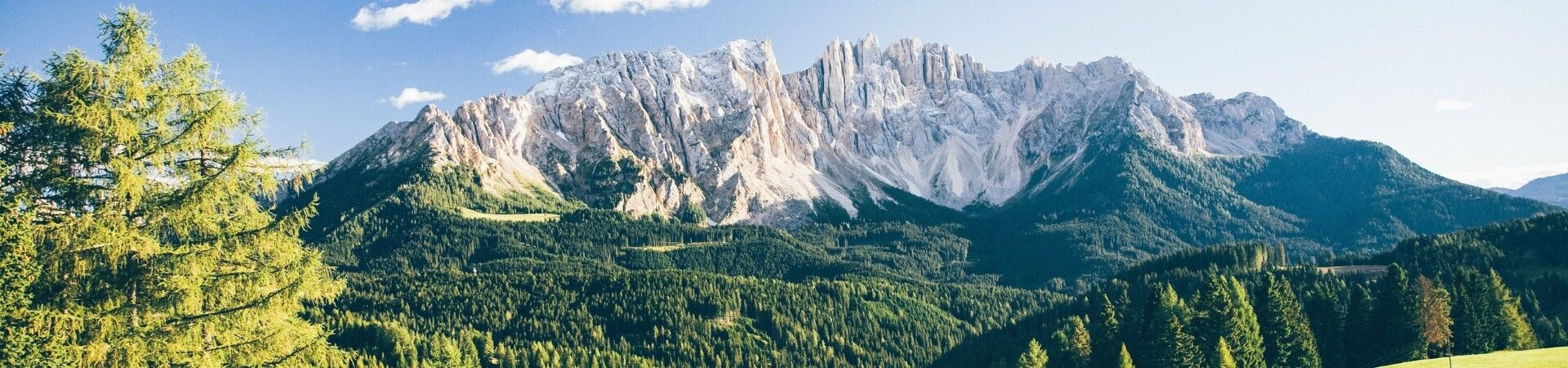Dolomites massif and conifer forests - Tyrol - Italy