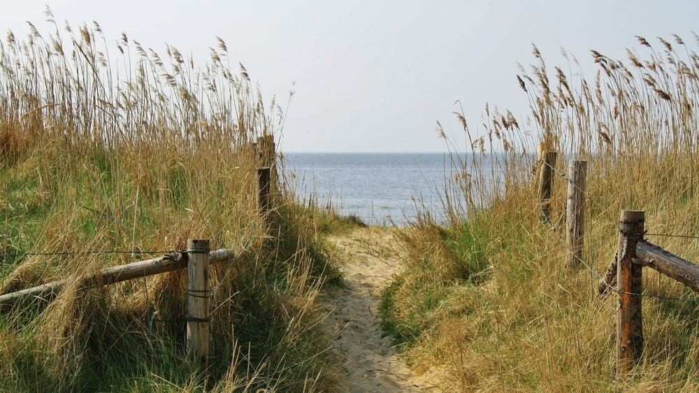Dune path leading to the sea - Cuxhaven - Germany