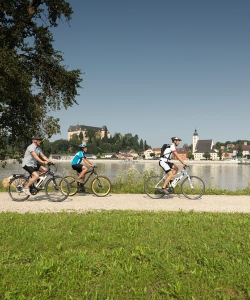 E Biken Am Donauradweg Bei Grein Oesterreich Werbung Peter Burgstaller