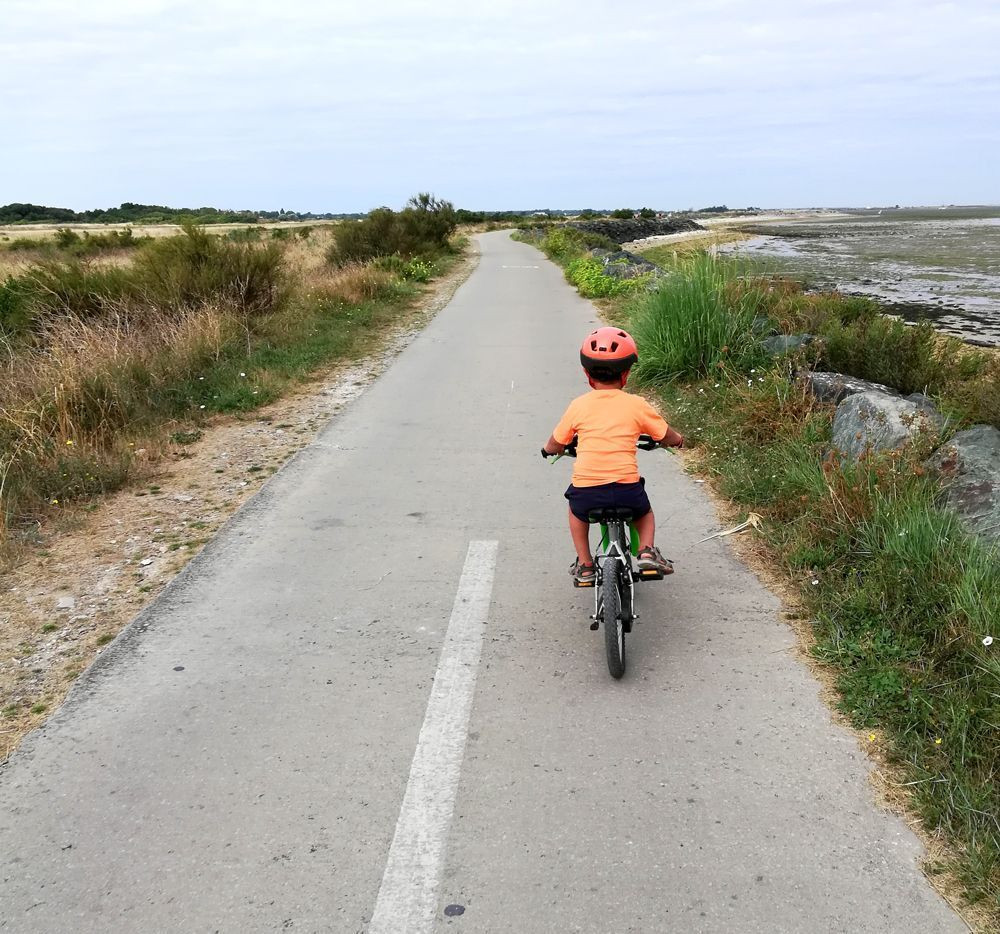 Child cycling on Île de Ré