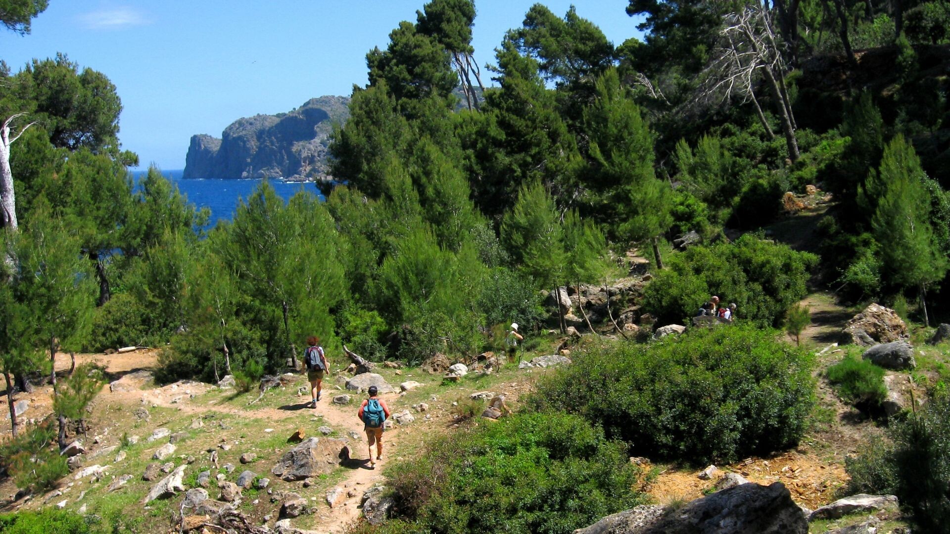 Esplp0017 - Spain