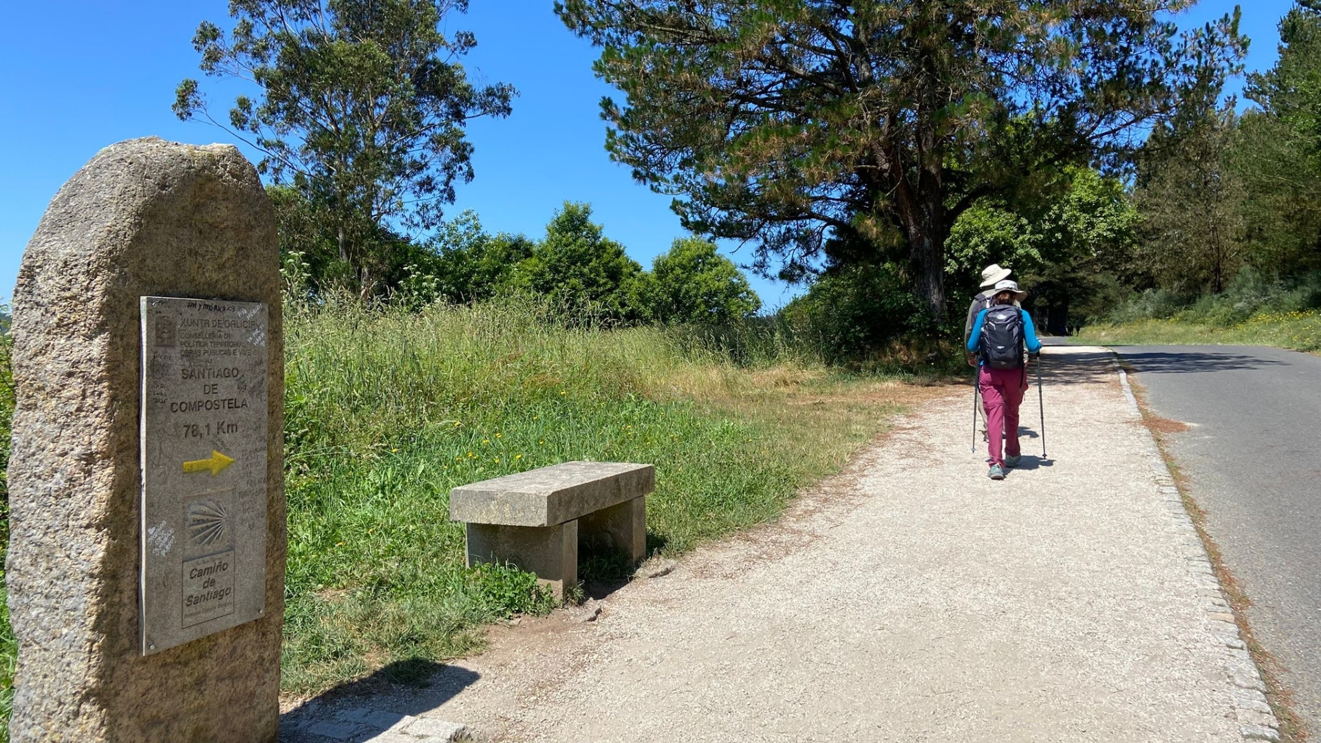 esplp1026-camino-frances-3