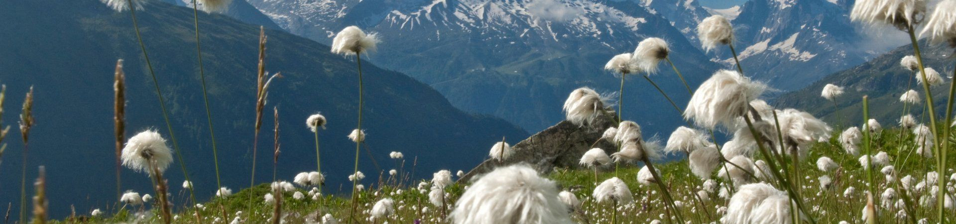 France in Spring: Self-Guided Active Trips