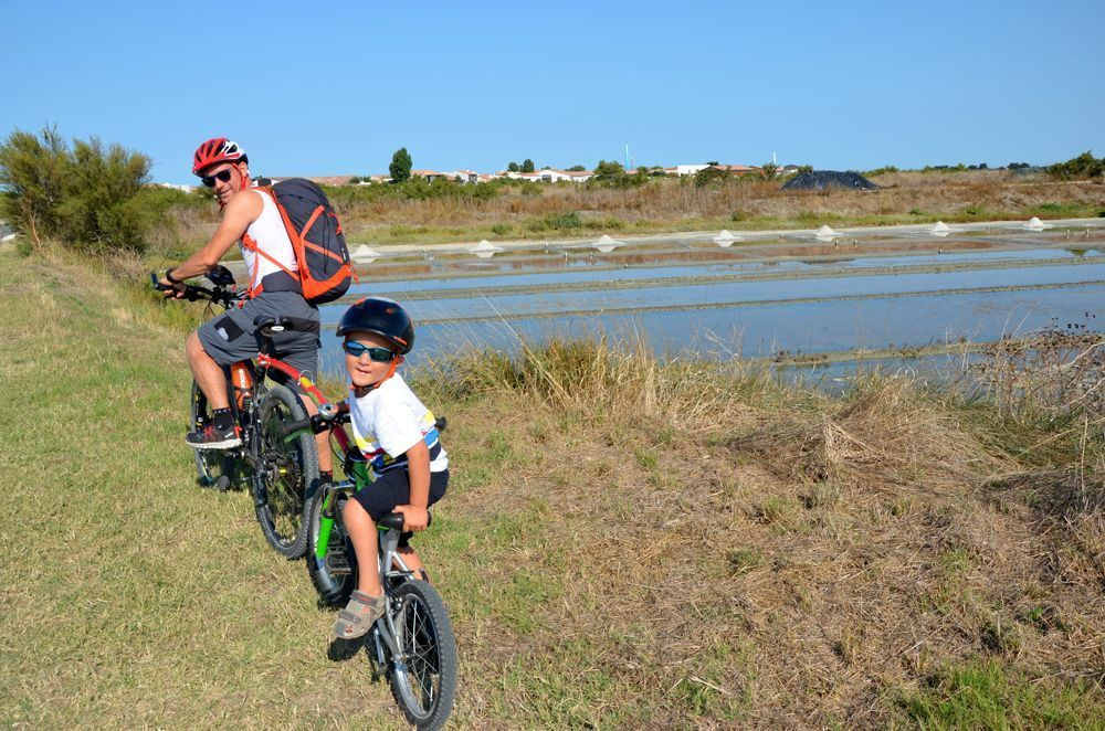 Family cycling beside a salt marsh on Île de Ré
