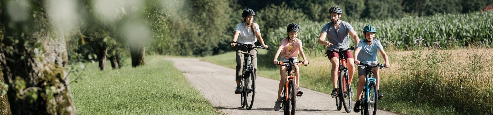 Family cycling on a country path in summer - Europe