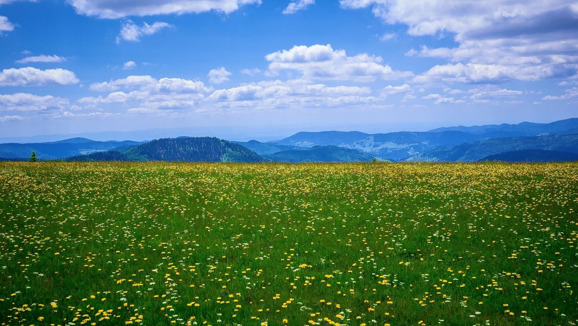 Feldberg - Germany