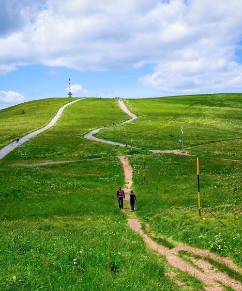 © Pixabay Feldberg