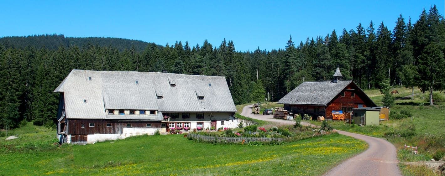 Ferme Forest Noire 0 - Germany