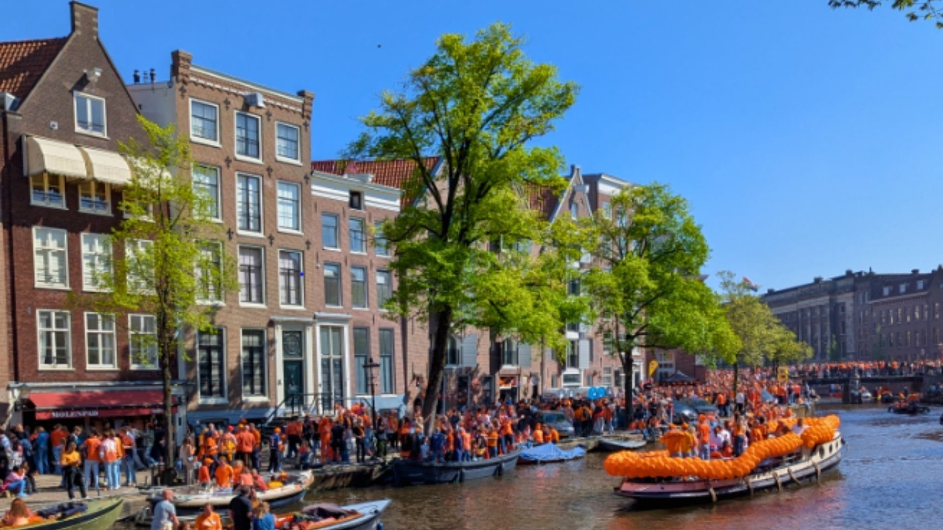 King's Day Amsterdam article Elodie