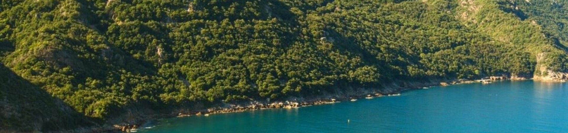 Forested wild coastline and turquoise water - Corsica - France