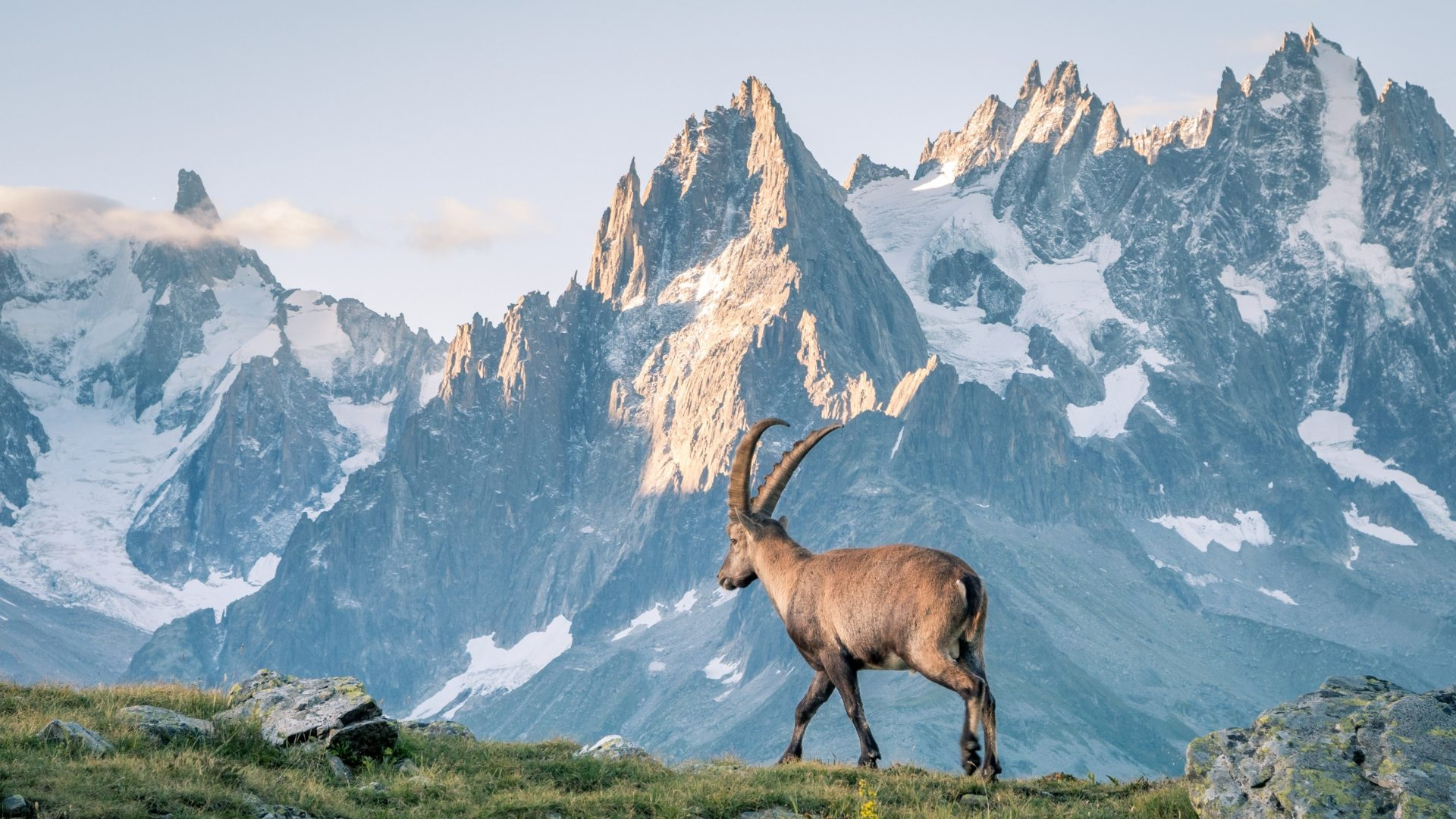 fralp1125-chamonix